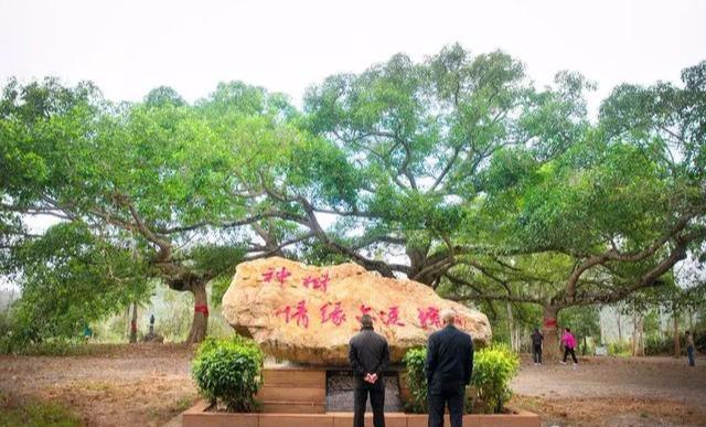 ���������w�B��