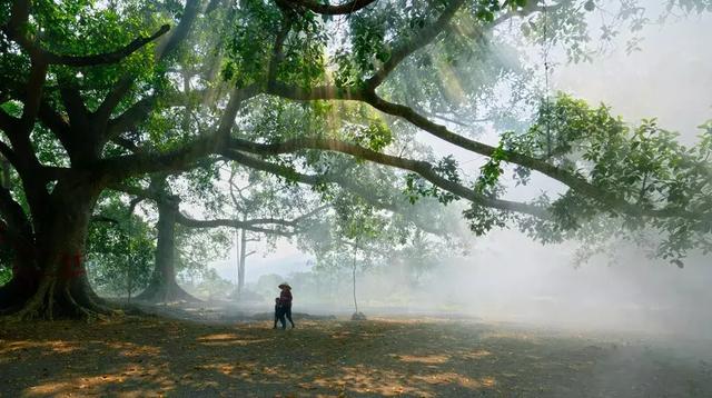 ���������w�B��