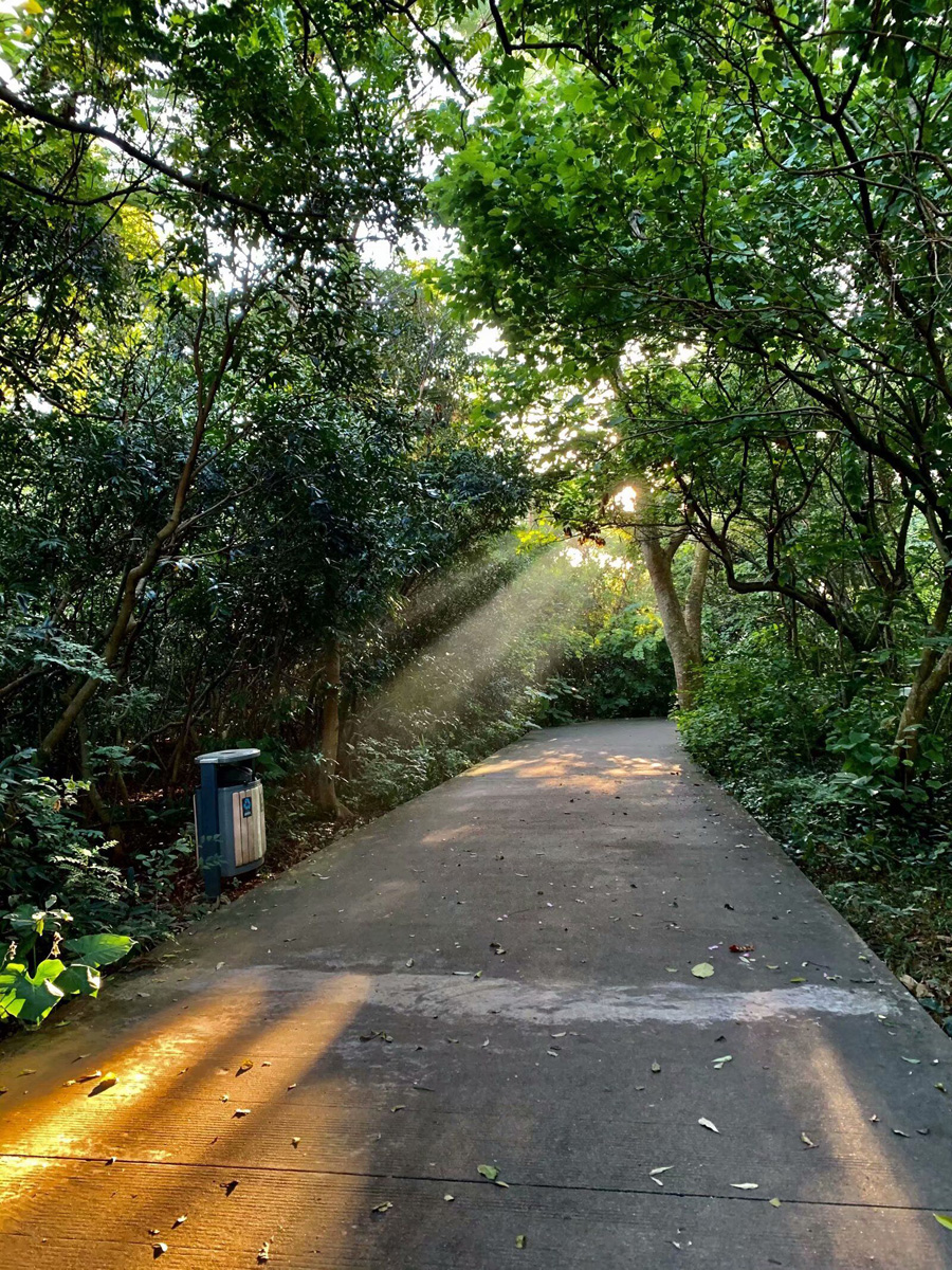 ���ڽ�ţ�X���@