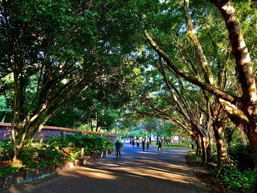 ���ڽ�ţ�X���@