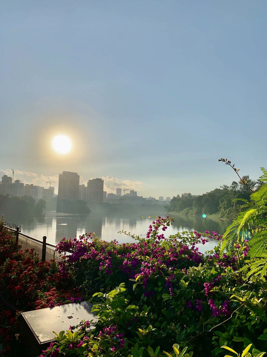 ���ڽ�ţ�X���@