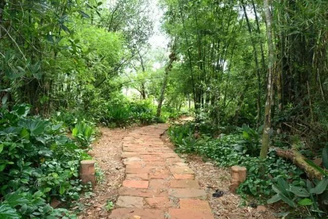 �R��������