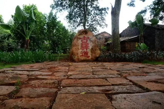 �R�߹��A��