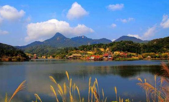 ���Ϙ�(l��)�|