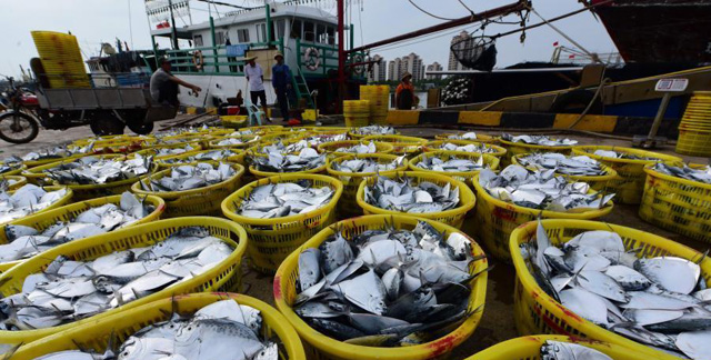 ����̶�T�۴a�^���~�w��