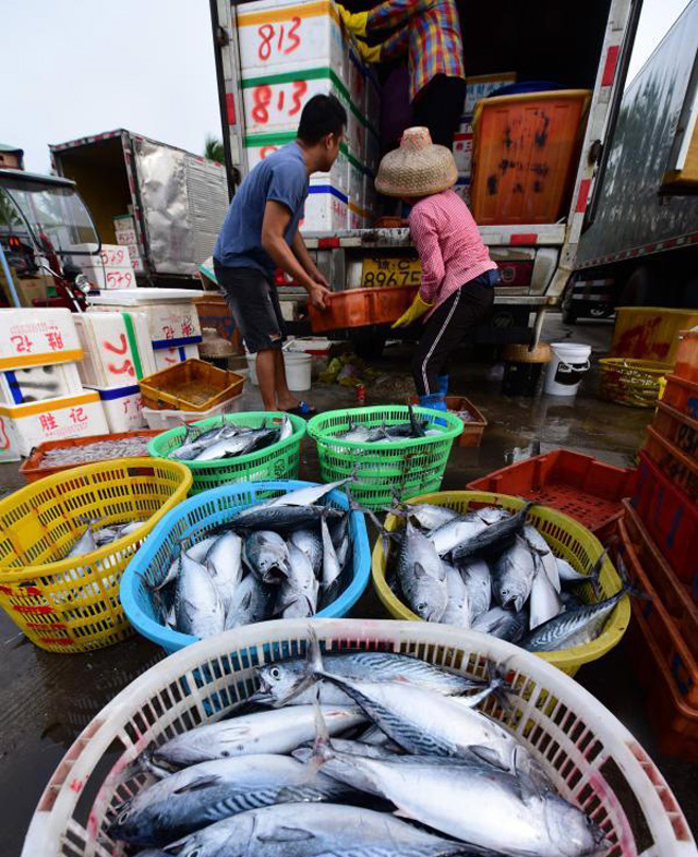 ����̶�T�۴a�^