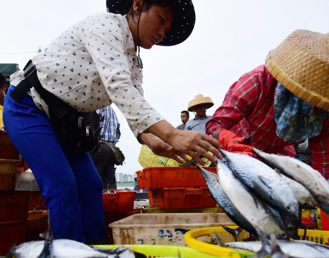 ����̶�T�۴a�^