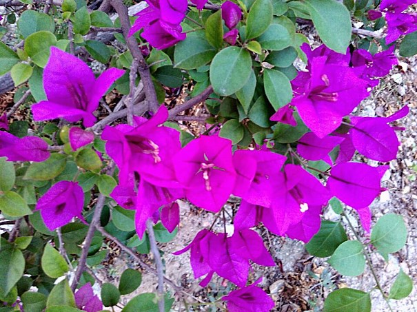 ���ϵġ�ʡ����-����÷