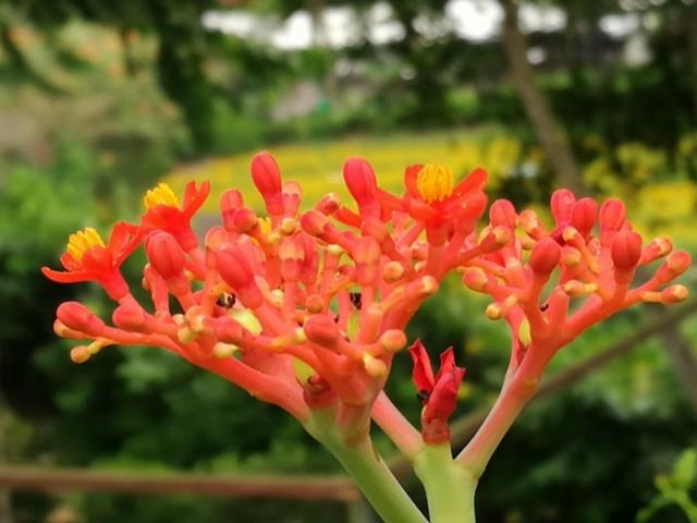 �����������r��