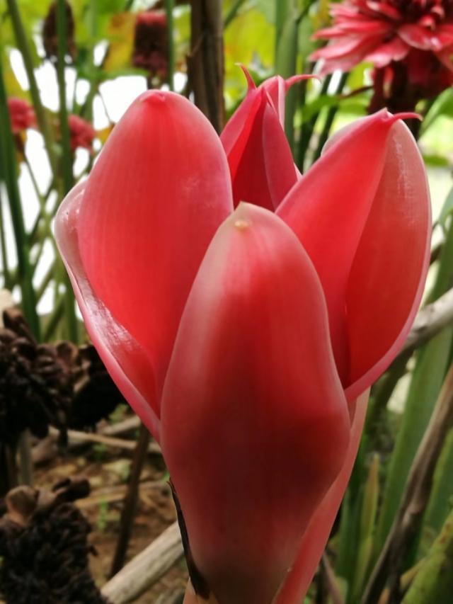 �����������r��