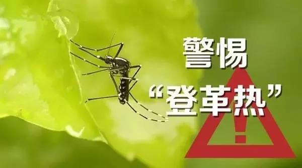 ʲô�ǵǸ����