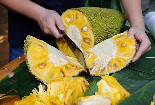 ���_�Ĳ��}��