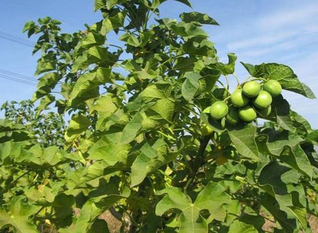 ���L(f��ng)��