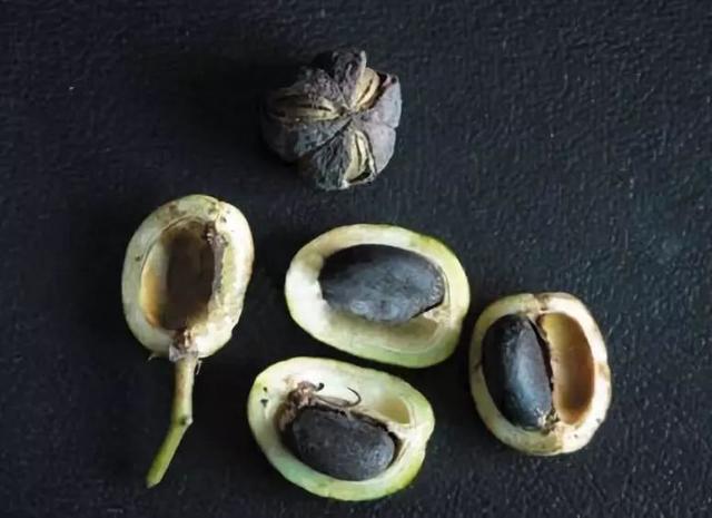 ���L(f��ng)��Ĺ���