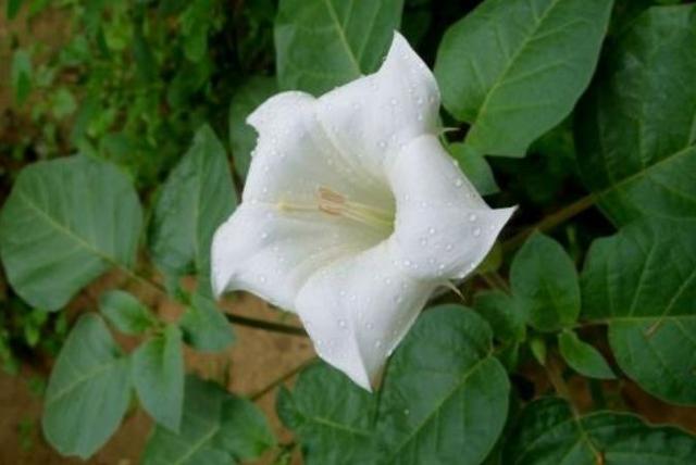 �׻������_