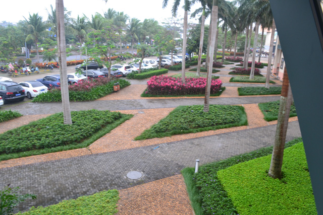 �����Ǻ���