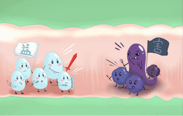 �ֿ���(x��)��