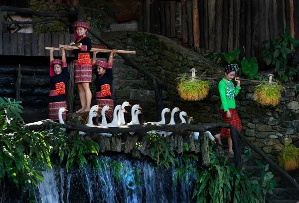 ������ˎ-�Ї��t(y��)ˎ��������Ҫ�ĽM�ɲ���