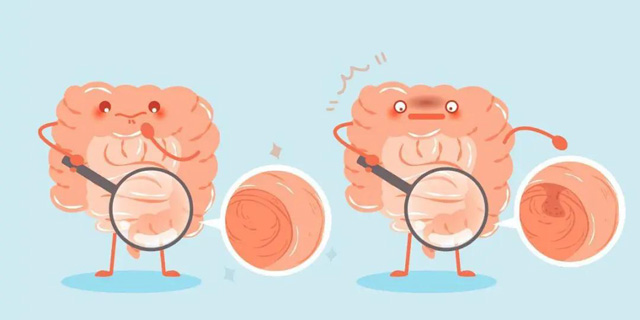 ������Ϣ��