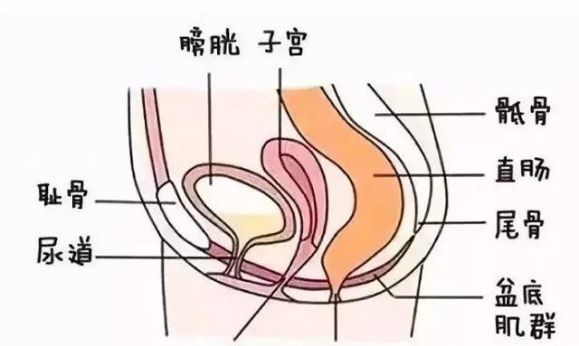 ������׽Y(ji��)��(g��u)