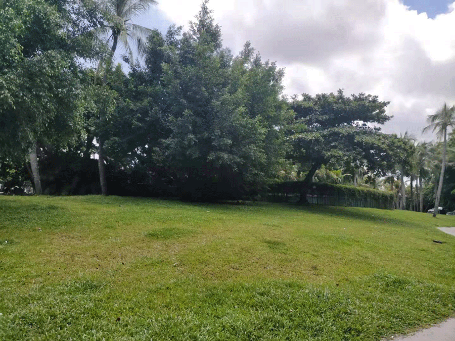 ���ču��ƺ