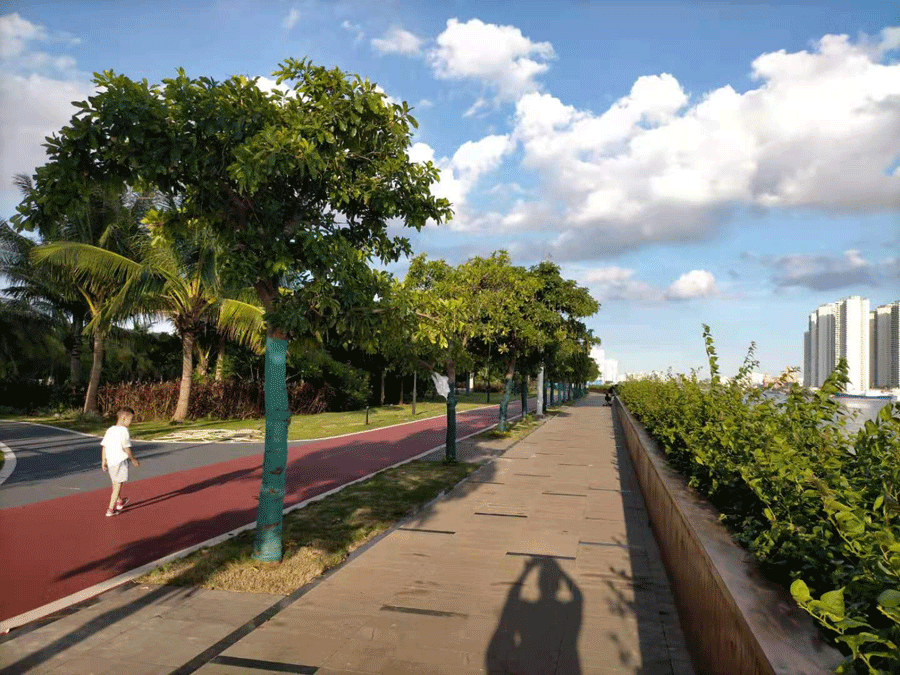 ����С��