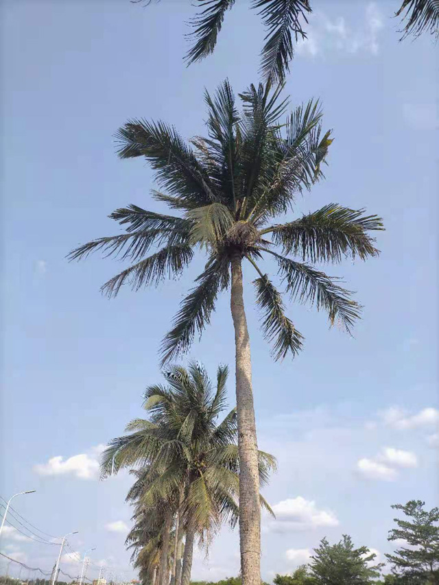 �����н��|�^(q��)������2021���S��