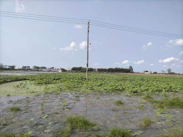 �����н��|�^(q��)������2021���S��