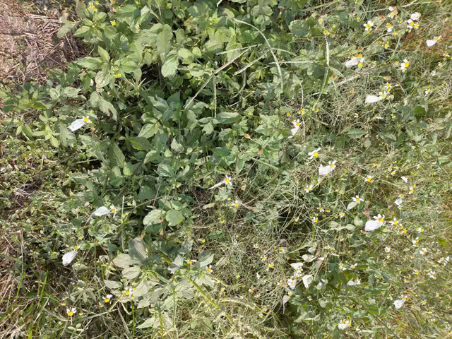 �����н��|�^(q��)������2021���S��