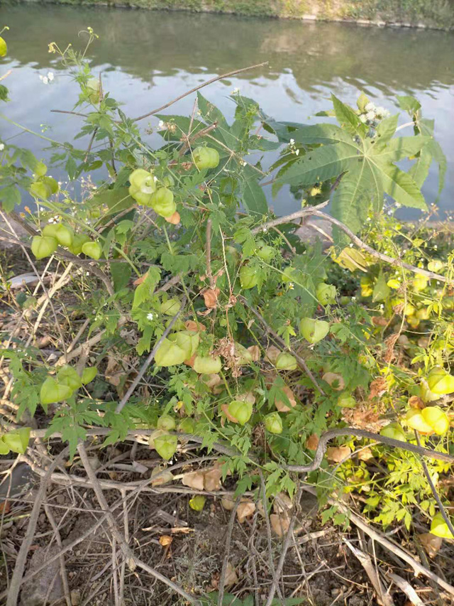 �����н��|�^(q��)������2021���S��