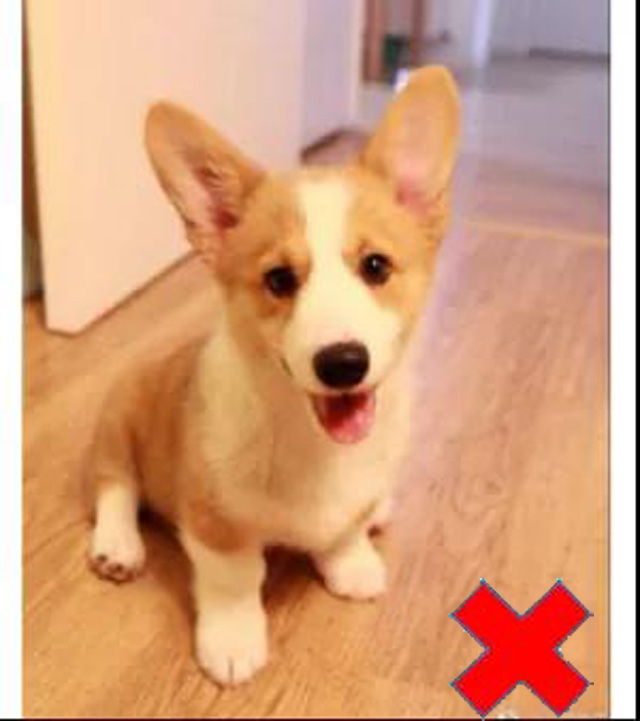 �������Օr��������Ҫ��֫վ����(c��)����