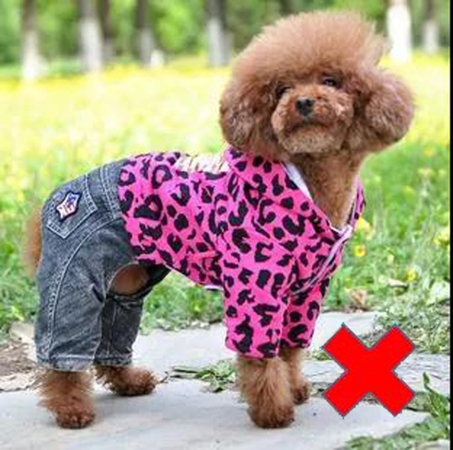 ������վ�˷ǳ��Ę˜����������ܸ�ֱ�^��չ�F(xi��n)����ëɫ���w�������������յĕr��Ո���������·�Ó��