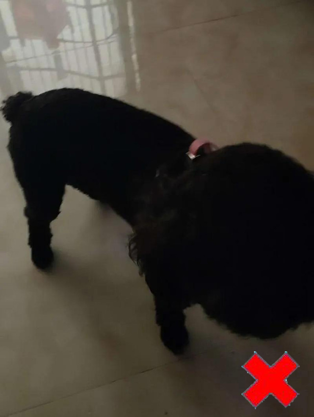 �⾀����Ȯֻ��Ƭ���������@��Ҳ�ǲ��ϸ��