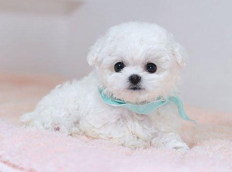 ����һ�ҿ����B(y��ng)���ٹ�����