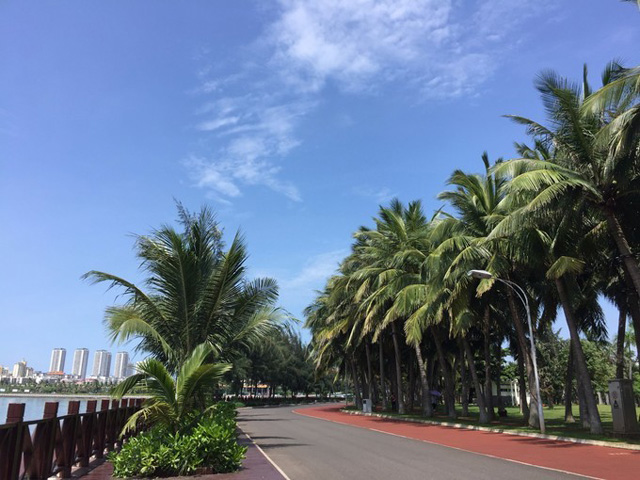 2021��12�º��ڷ�����ُ(g��u)��������