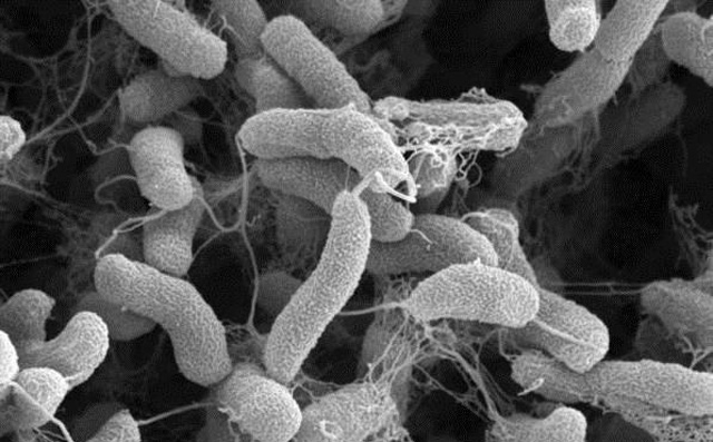 ���Ⱦ���ٿ���Ո���L�r�g��