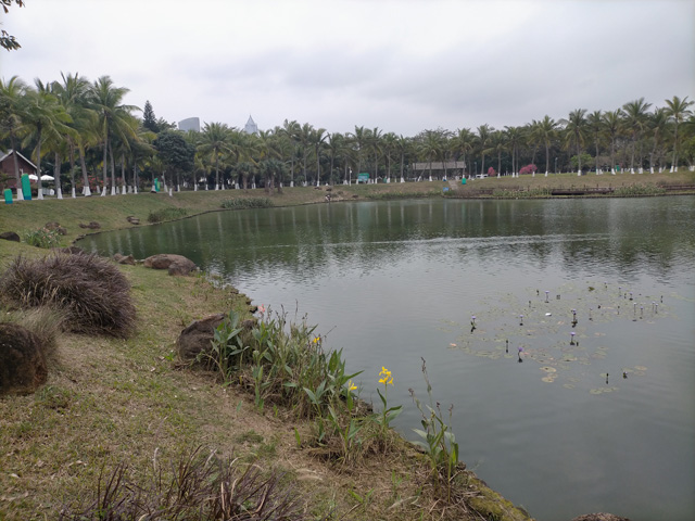 ��ˮ�h���¼��g(sh��)��I(y��)��(ji��ng)��(l��)������ʲô��