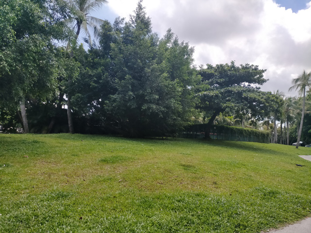 ��ͤ�h���¼��g(sh��)��I(y��)����������ʲô��