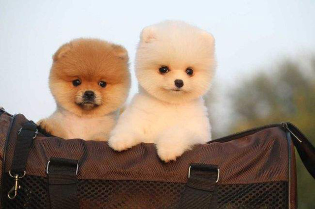 �������B(y��ng)���k�C����Щ����(w��)�c(di��n)��