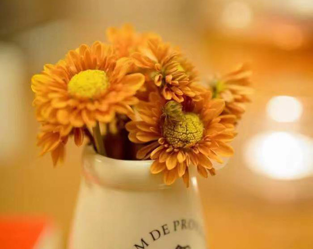 �����������t(y��)���U�M(f��i)����������(b��o)�N����������ô�k��